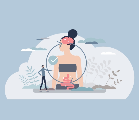 connection between your gut and your brain - Phytoceutics