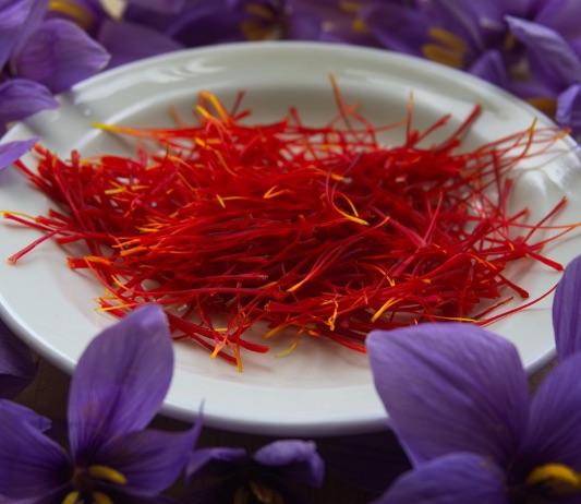 Saffron on ADHD Blog Thumbnail Image.jpeg